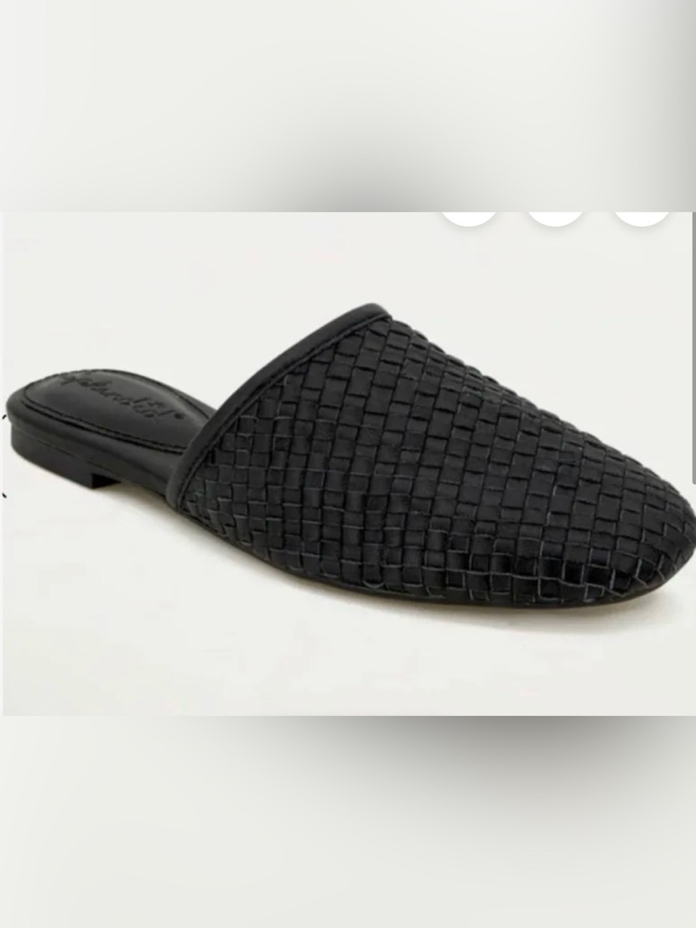 Splendid Leather Black Flat Woven Elissa Mules